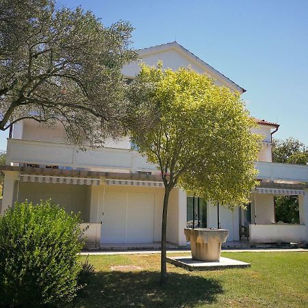 Family Friendly Apartments Island Rab Kampor Exterior foto