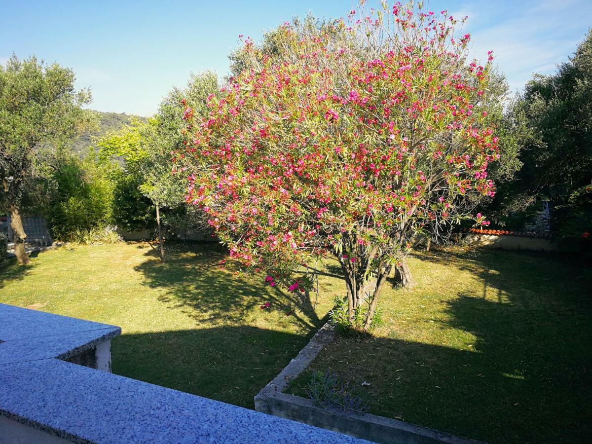 Family Friendly Apartments Island Rab Kampor Exterior foto
